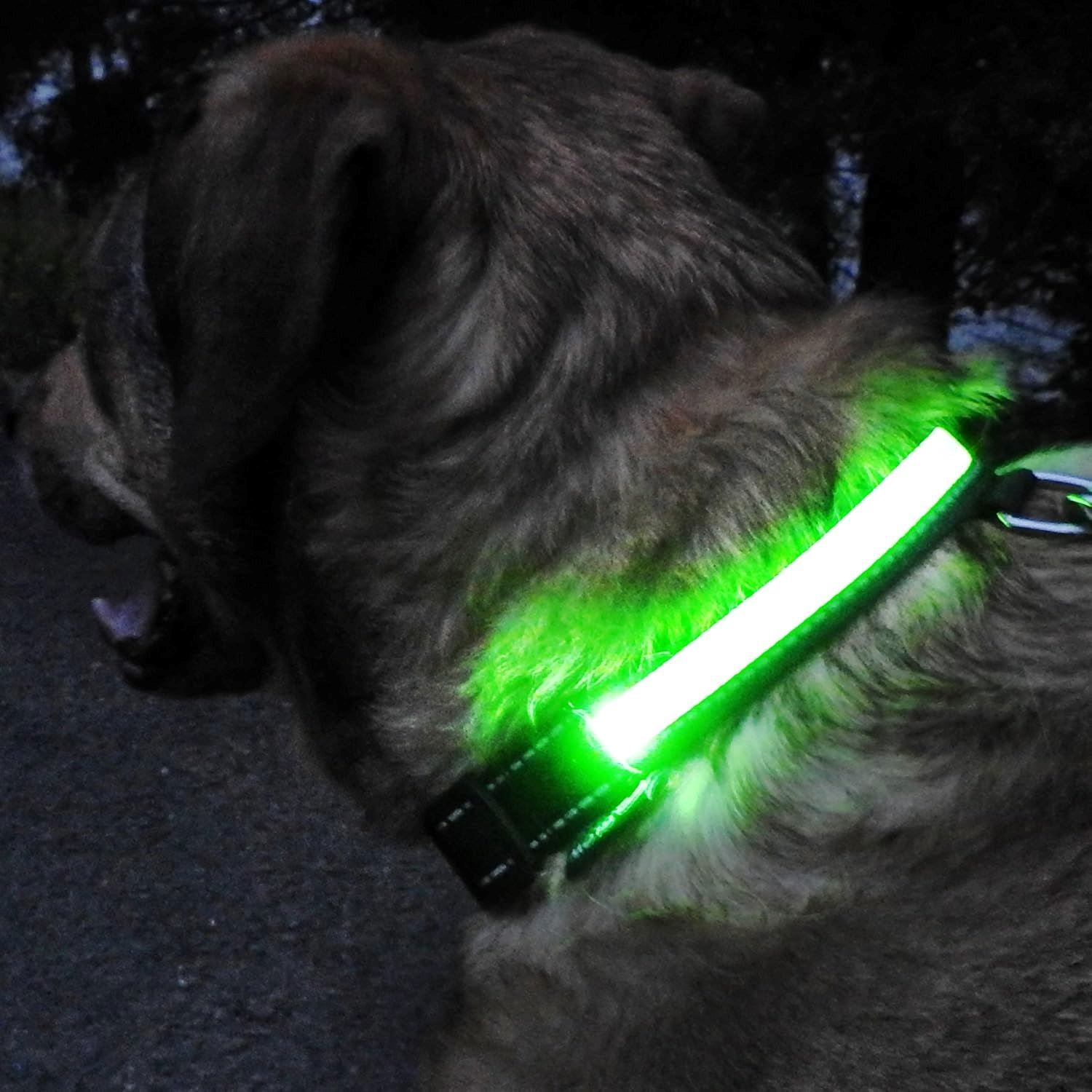 Collier de Chien - LEDCollarDog™ - Vert - Mon Monde Chien