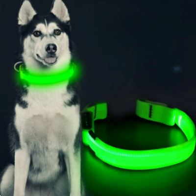 Collier de Chien - LEDCollarDog™ - Vert - Mon Monde Chien