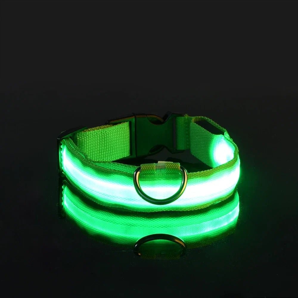 Collier de Chien - LEDCollarDog™ - Vert - Mon Monde Chien